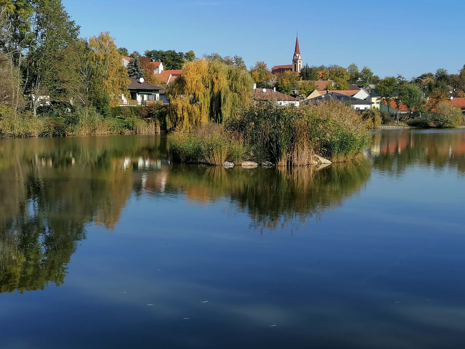 369c514c-0527-422f-81c7-576f9d068aa6